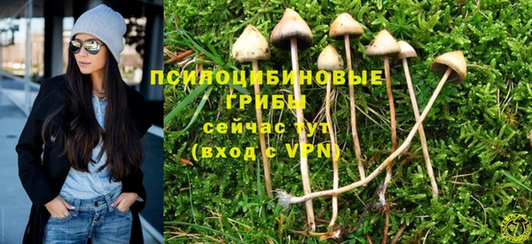 дживик Абаза